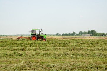 Fototapeta premium tractor turning raking cut hay in field