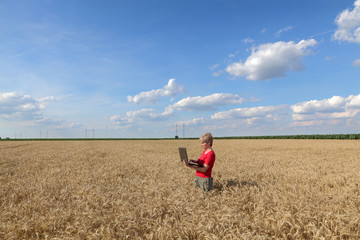 Fototapeta na wymiar Agriculture, agronomist examine wheat field using laptop