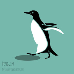 black and white penguin © Dashikka