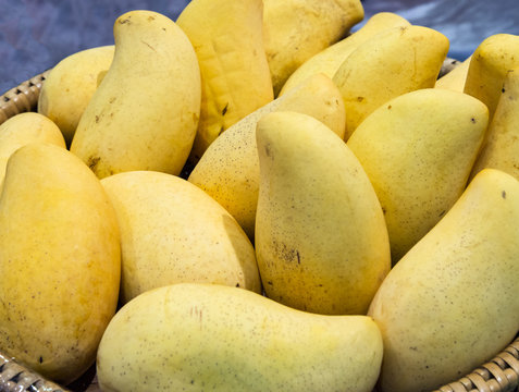 Ripe mango