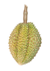 Whole durian - stock image