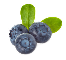 blueberry isolated on white background