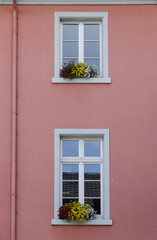 façade rose