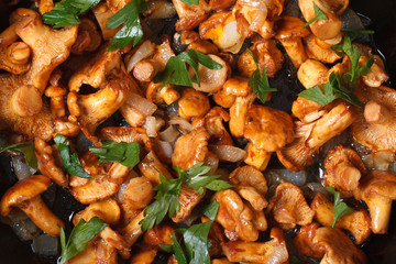 background chanterelle mushrooms in a frying pan macro