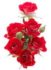 Red rose flower bouquet isolated on white background cutout