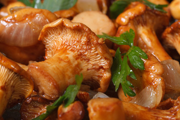 background of roasted chanterelle mushrooms with parsley
