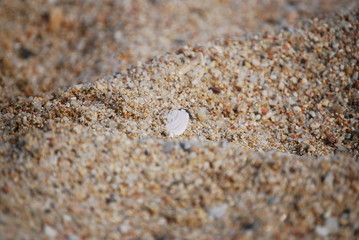 Sand