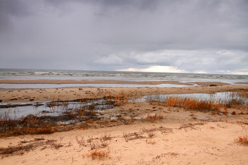 autumn beach of the Baltic Sea