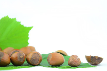 orzechy laskowe © zetat