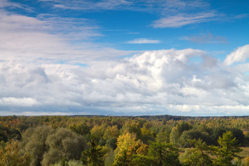 Fototapeta na wymiar autumn landscape of the Estonian forest