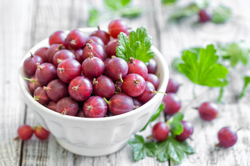 Gooseberry