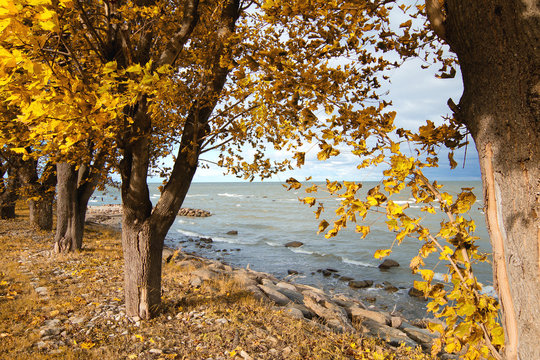 Baltic sea in autumn