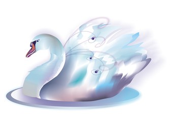 cigno