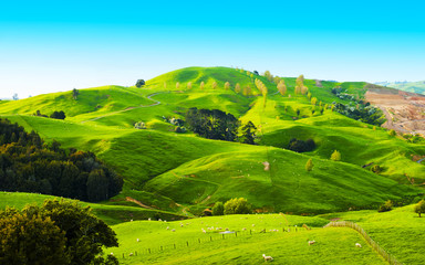 Hügel von Neuseeland