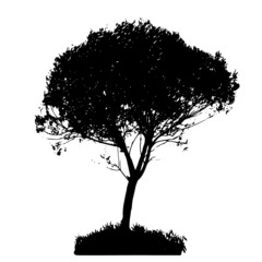 Tree Silhouette Isolated on White Backgorund. Vecrtor Illustrati