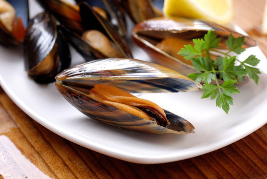 cozze sul piatto di ceramica bianca