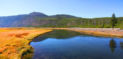 Fototapeta premium Scenic Yellowstone river