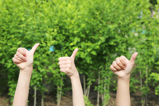 People show thumbs up on natural background