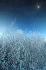 sunrise on a winter morning