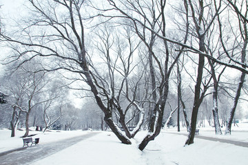 winter river at night.