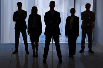 Silhouette Business People Standing In Office