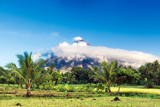 Mt. Mayon