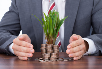 Half Million Life Insurance Policy