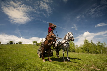 Horse carts