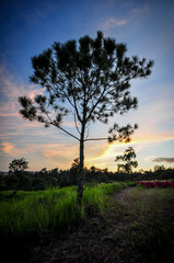 Obraz premium Phu Rua National Park