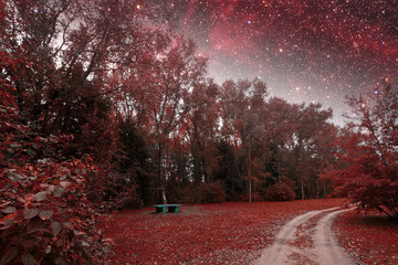 spring night infrared photography. Elements of this image furnis