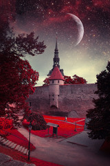 Fototapety na wymiar - Fototapeta24.pl