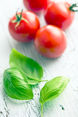 basil leaves and tomatoes