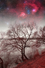 Fototapeta na wymiar red night. Elements of this image furnished by NASA