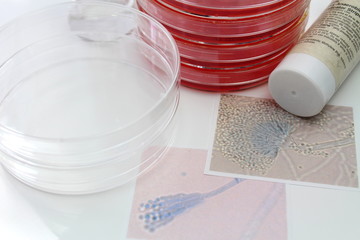 研究イメージ　微生物