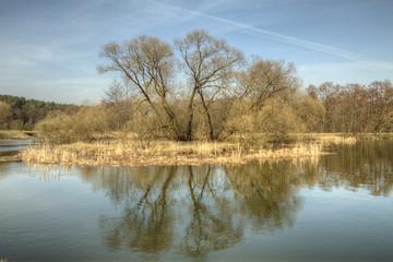HDR fotografiya.vesennyaya rebirth of nature