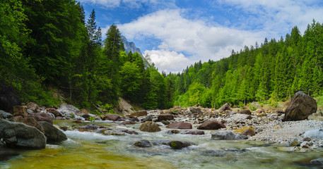 Fototapeta na wymiar strumień górski w Alpach włoskich