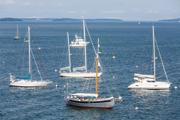 Sailboats and Cabin Cruiser on Blue