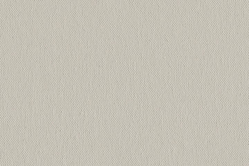 Artist's Primed Cotton Canvas Coarse Texture Sample