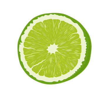 Fresh Lime fruit, vector illustration.