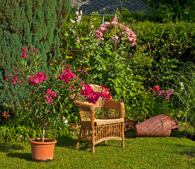 Garden with flowers © Horváth Botond