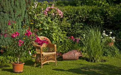 Garden with flowers