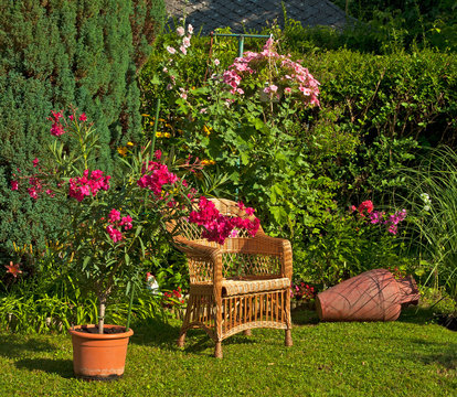 Garden with flowers