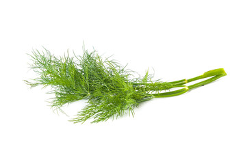 fennel isolated on white background