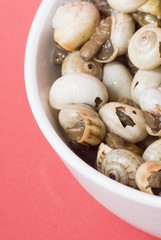 Bowl of snails in garlic, typical plate of Spain and France