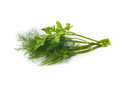 Parsley and dill isolated on white background