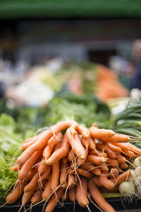 Fresh vegetables on the market