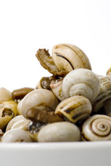 Bowl of snails in garlic, typical plate of Spain and France
