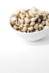 Bowl of snails in garlic, typical plate of Spain and France
