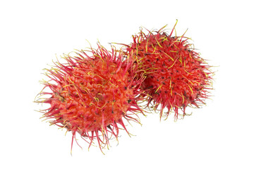 Rambutan - Tropical Fruits Rambutan