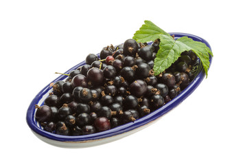 Black currant